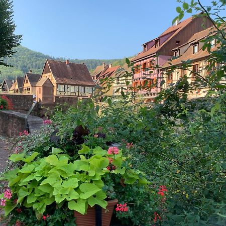 Studio Cosy Kaysersberg Centre Экстерьер фото