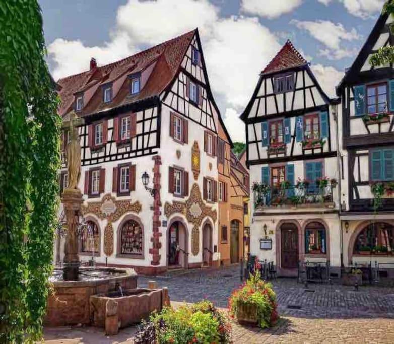 Studio Cosy Kaysersberg Centre Экстерьер фото