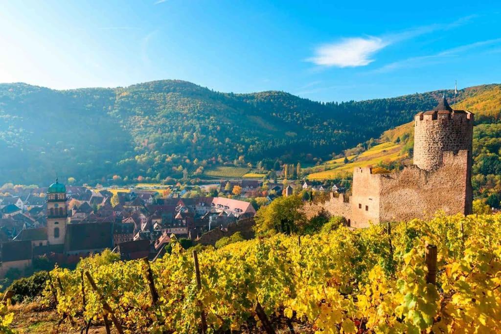 Studio Cosy Kaysersberg Centre Экстерьер фото