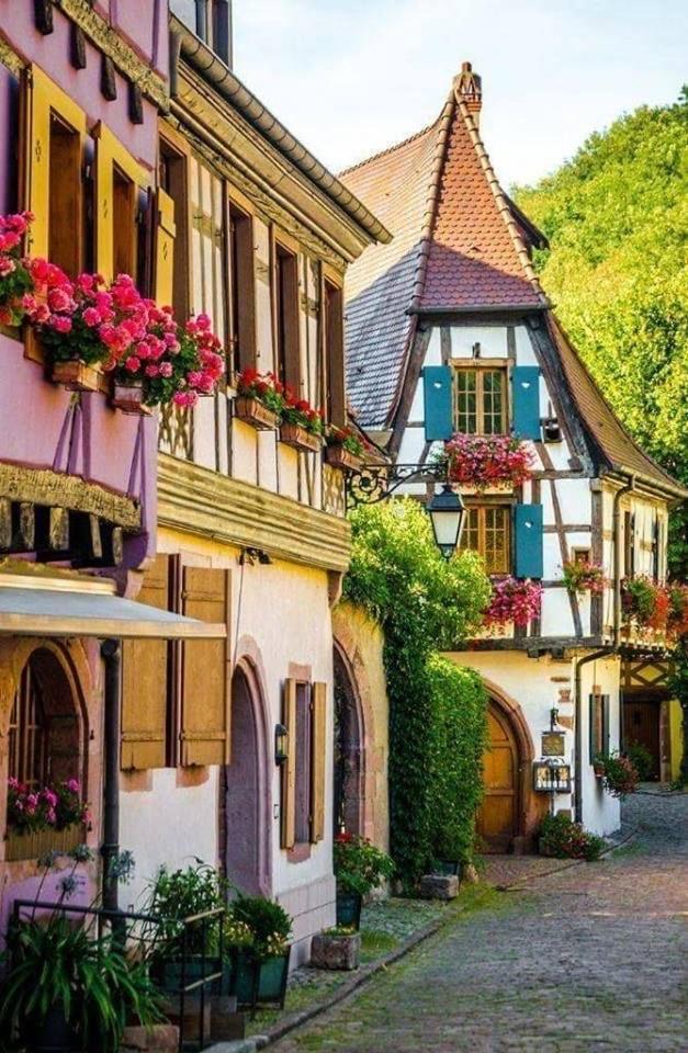 Studio Cosy Kaysersberg Centre Экстерьер фото